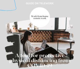 Guide on Telework 
