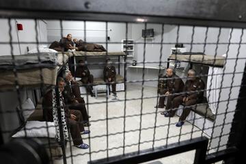 palestiner security